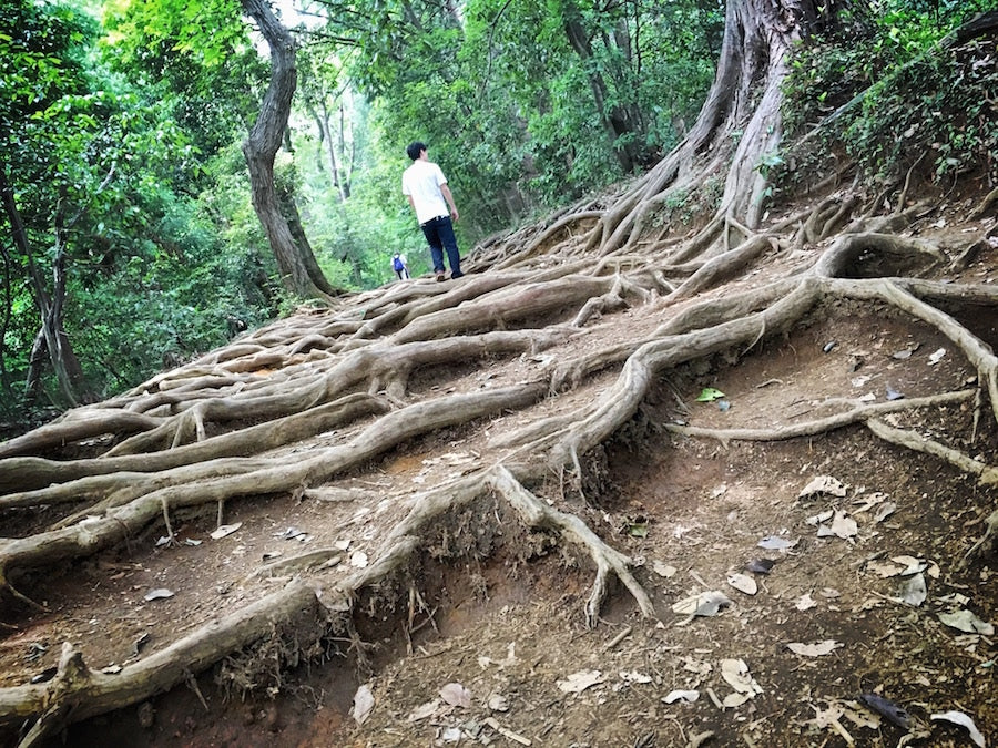 「準備」Preparation