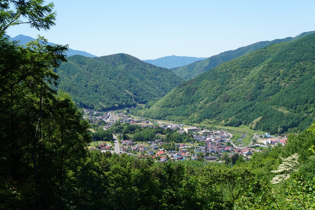 「12日目」Day 12